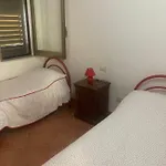 Kalypso シャッカ